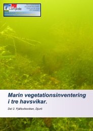 Marin vegetationsinventering i tre havsvikar. - Balticsea 2020