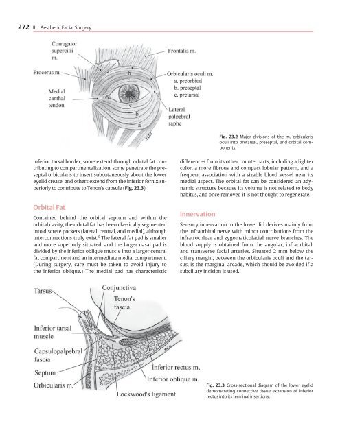 23 Lower Eyelid Blepharoplasty - Facial plastic surgeon in San Diego