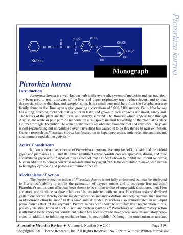 Picrorhiza kurroa Monograph - Alternative Medicine Review