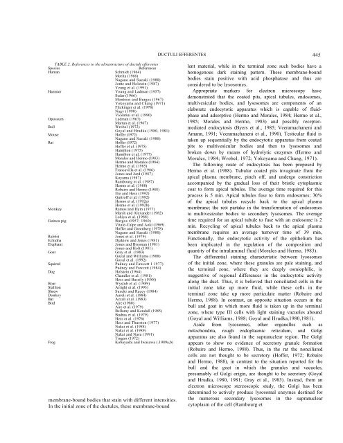 Structure and Function of the Ductuli Efferentes - University of Illinois ...