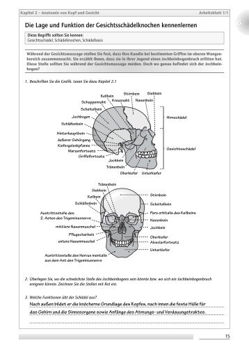 Die Lage und Funktion der Gesichtsschädelknochen kennenlernen