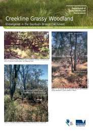 Why Creekline Grassy Woodlands are Threatened - Goulburn ...