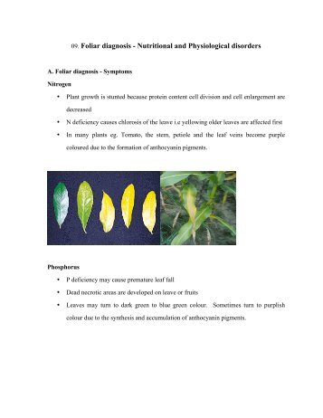 Lecture 09: Foliar diagnosis - TNAU