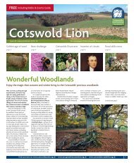 Autumn/Winter Cotswold Lion - Cotswolds Area of Outstanding ...