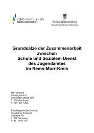 Grundsätze der Zusammenarbeit zwischen Schule und Sozialem ...