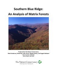 Southern Blue Ridge: An Analysis of Matrix Forests - Conservation ...