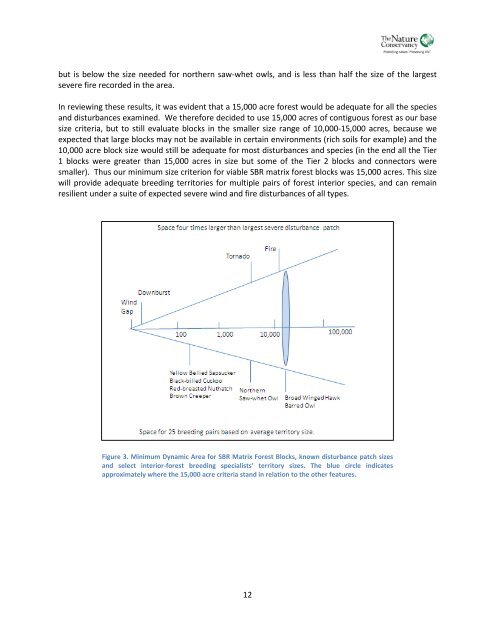 Southern Blue Ridge: An Analysis of Matrix Forests - Conservation ...