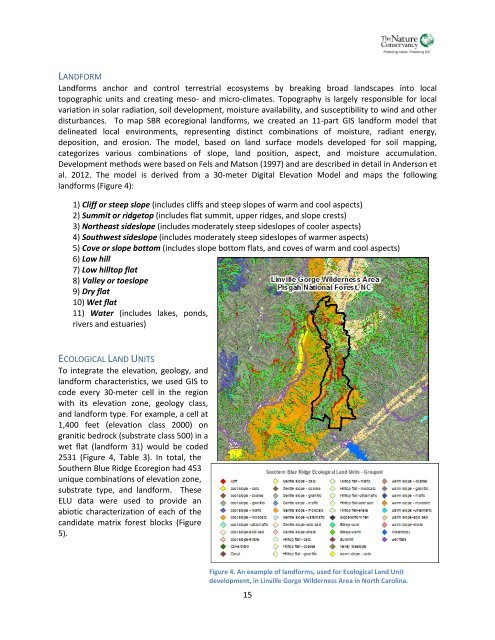 Southern Blue Ridge: An Analysis of Matrix Forests - Conservation ...