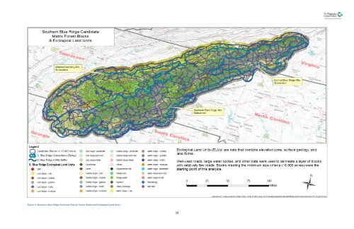 Southern Blue Ridge: An Analysis of Matrix Forests - Conservation ...