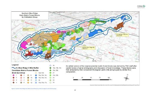 Southern Blue Ridge: An Analysis of Matrix Forests - Conservation ...