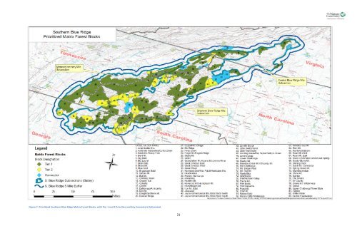 Southern Blue Ridge: An Analysis of Matrix Forests - Conservation ...