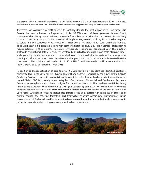 Southern Blue Ridge: An Analysis of Matrix Forests - Conservation ...