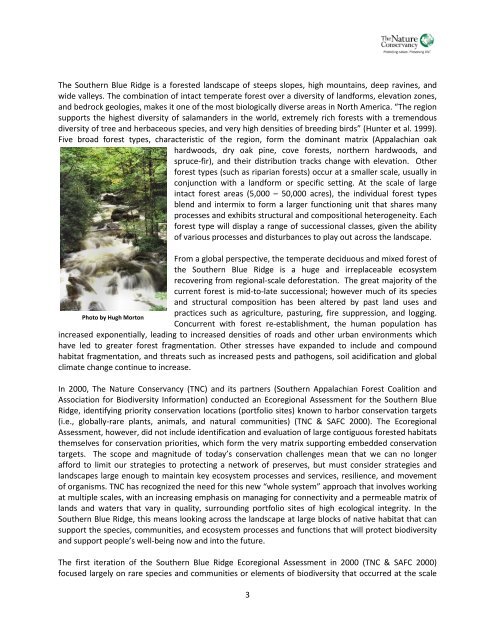 Southern Blue Ridge: An Analysis of Matrix Forests - Conservation ...