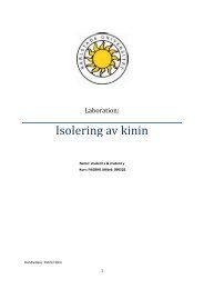 Labrapport farmakognosi.pdf