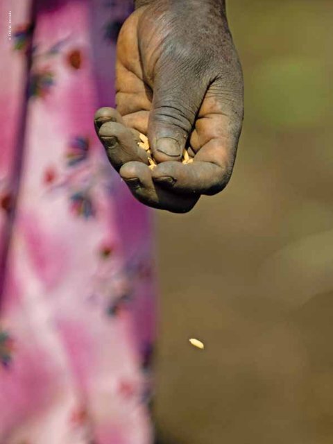 agriculture and ecosystem services - Serena