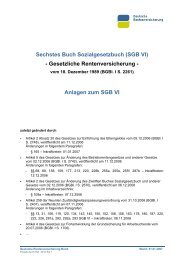 Anlagen zum Sechsten Buch Sozialgesetzbuch - Frank Jungwirth