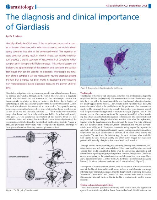 The diagnosis and clinical importance of Giardiasis