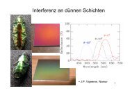 Interferenz an dünnen Schichten - Meerholz