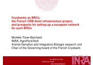 Cryobanks as BRCs: the French CRB-Anim infrastructure project ...