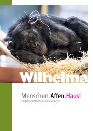 Broschüre zum neuen Affenhaus - Wilhelma