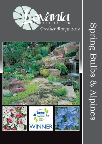 Spring Bulbs & Alpines - Lovania Nurseries Ltd