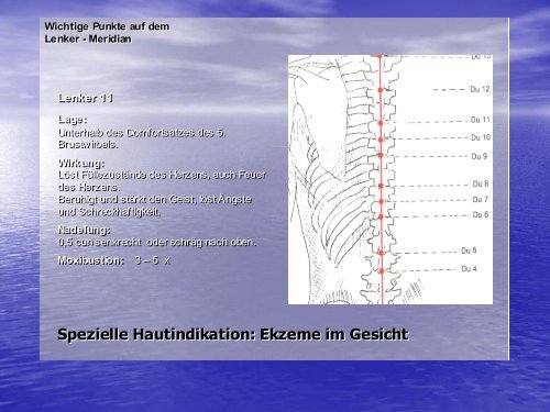 TCM und Haut