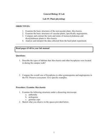 Plant Physiology