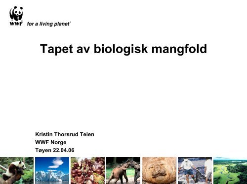Tapet av biologisk mangfold - WWF
