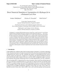 Direct Numerical Simulation of Autoiginition of a Hydrogen Jet in a ...