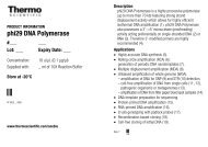 phi29 DNA Polymerase - Product Information - Thermo Scientific