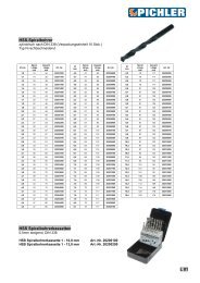 Pichler Werkzeug - Hauptkatalog - Pichler Tools