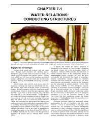 Chapter 7 Water Relations - Bryophyte Ecology