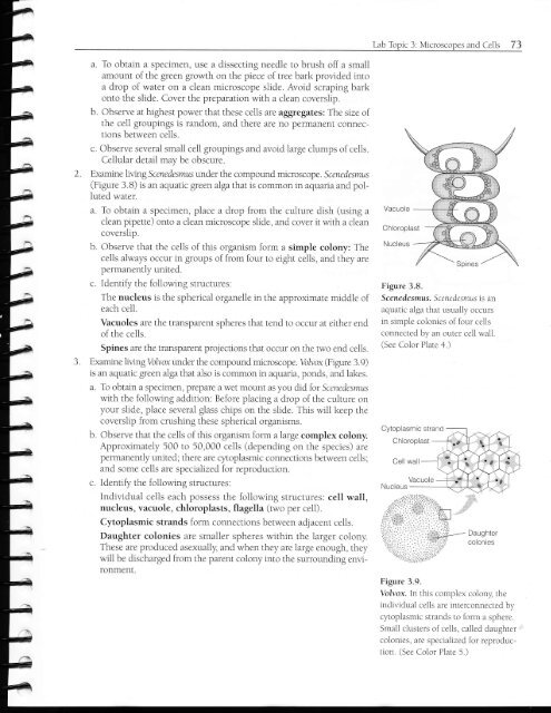 Lab Topic Three