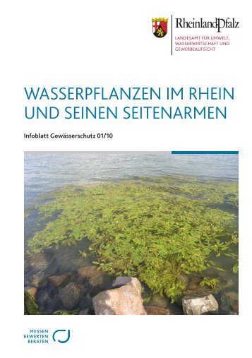 Wasserpflanzen im rhein und seinen seitenarmen - Mosellum