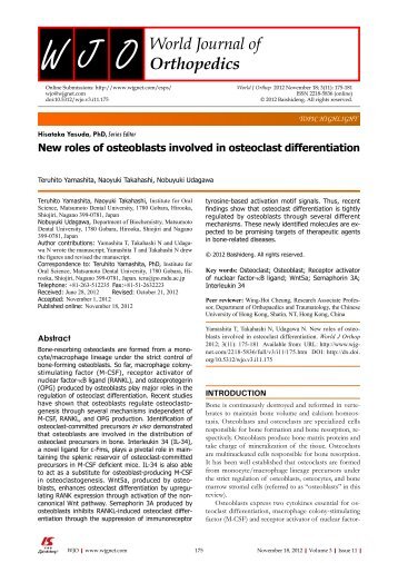 New roles of osteoblasts involved in osteoclast differentiation