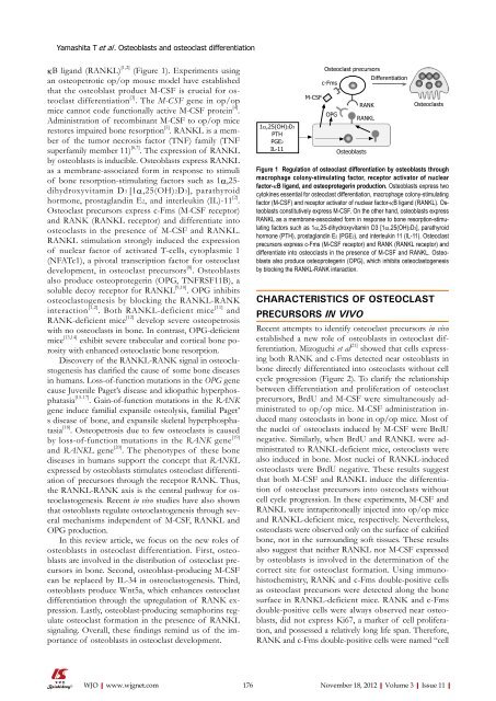 New roles of osteoblasts involved in osteoclast differentiation