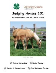Judging Horses 101 - University of Idaho Extension