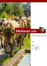 Gemeindezeitung - Mellau