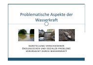 Wasserkraft - Ökologie - 1.7.ppsx - Lebendige Flüsse