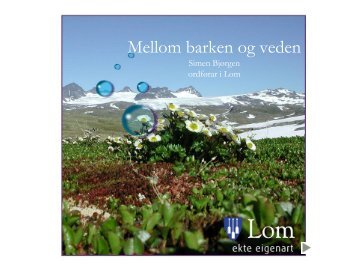 Mellom barken og veden