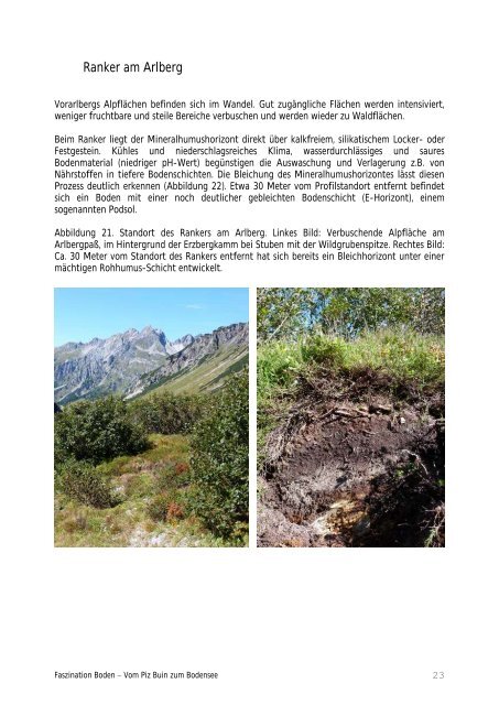 Fachbericht zur Ausstellung Faszination Boden - Vorarlberg