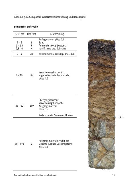 Fachbericht zur Ausstellung Faszination Boden - Vorarlberg