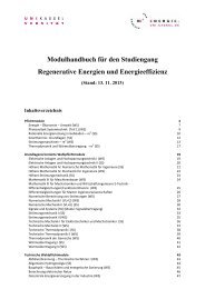 Modulhandbuch (Stand 13.11.2013) (pdf) - Regenerative Energien ...