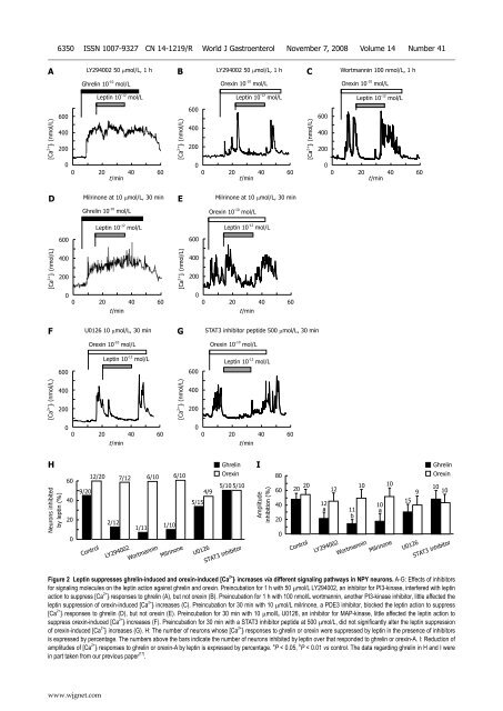 Leptin transiently antagonizes ghrelin and long-lastingly orexin in ...