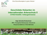 Geschützte Holzarten im internationalen Artenschutz II