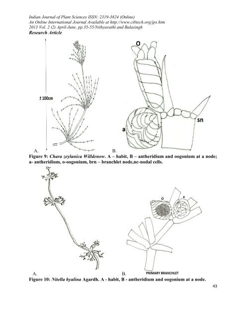 seasonal distribution of charophytes in kanyakumari ... - CIBTech