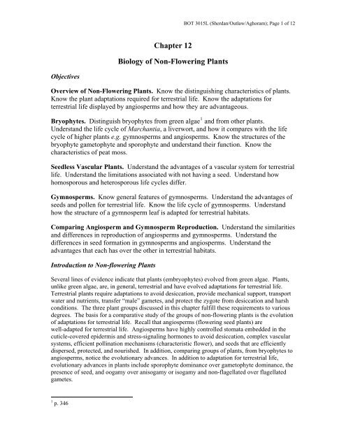 Biology Of Non Flowering Plants