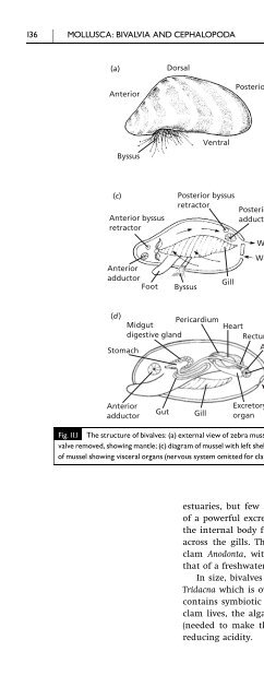 An Introduction to the Invertebrates, Second Edition - tiera.ru