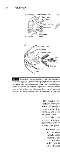 An Introduction to the Invertebrates, Second Edition - tiera.ru