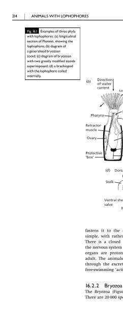 An Introduction to the Invertebrates, Second Edition - tiera.ru